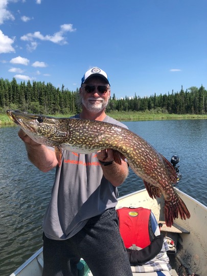 Grand brochet