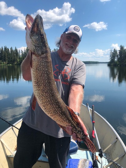 Grand brochet