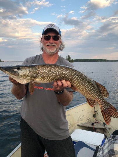 Grand brochet