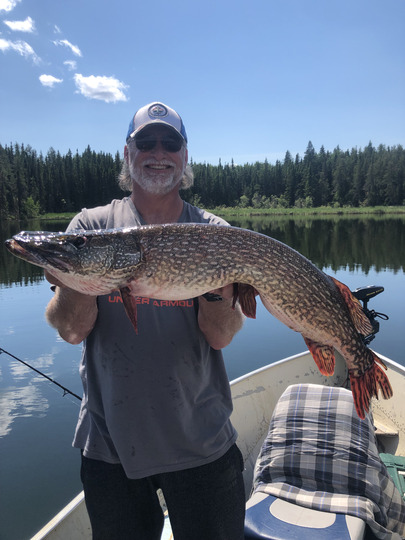 Grand brochet