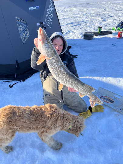 Grand brochet