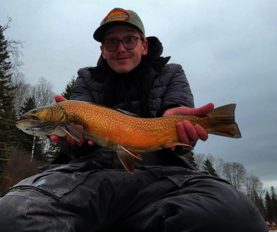 Grand brochet