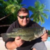 Photo de profil de Dave Wills
